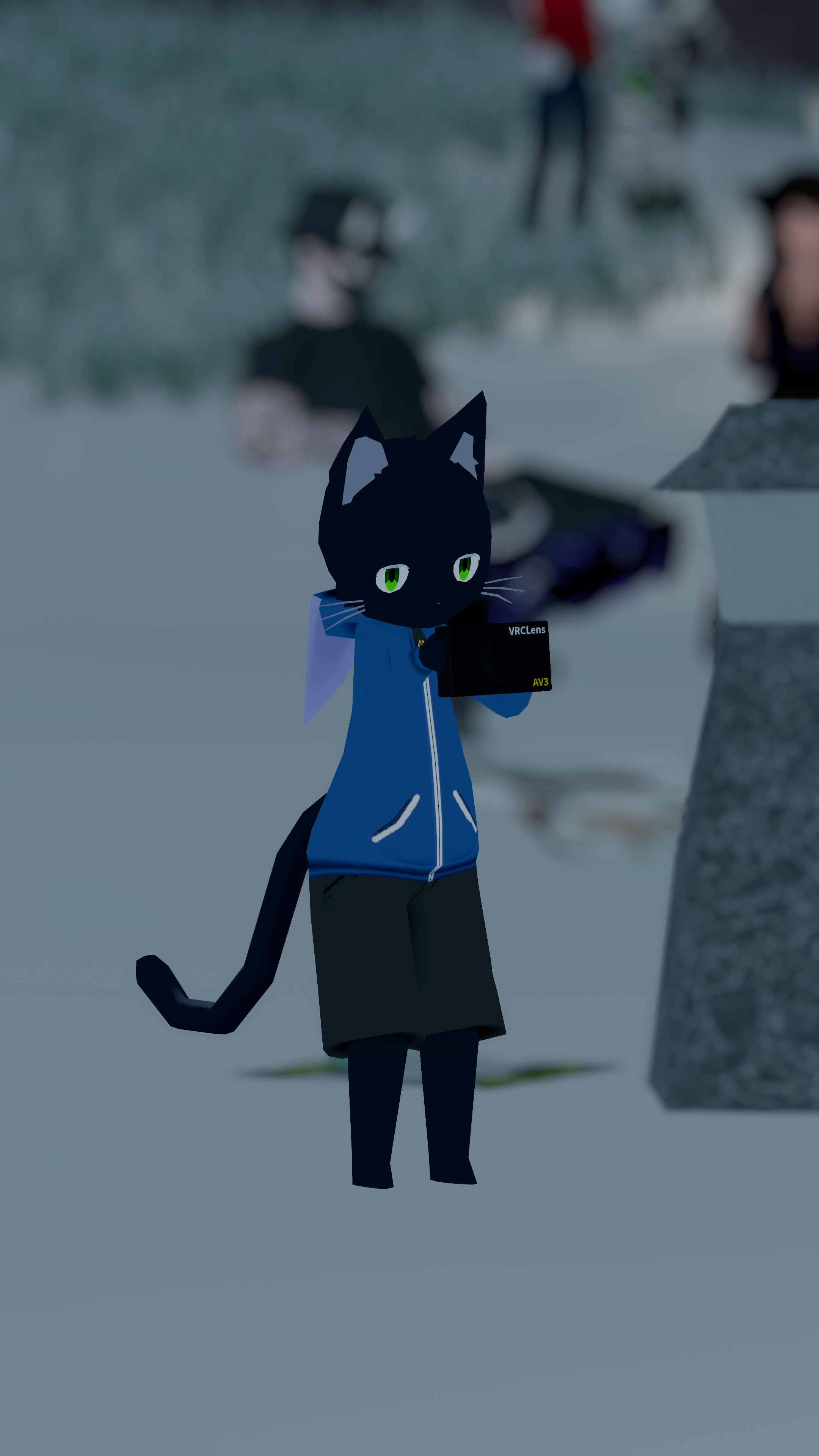 VRChat 2024 12 07 01 39 29.306 2160x3840